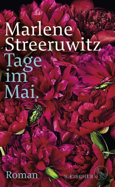 Tage im Mai. - Marlene Streeruwitz