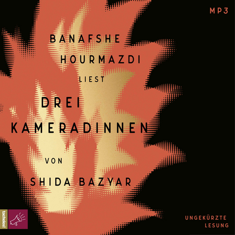 Drei Kameradinnen - Shida Bazyar