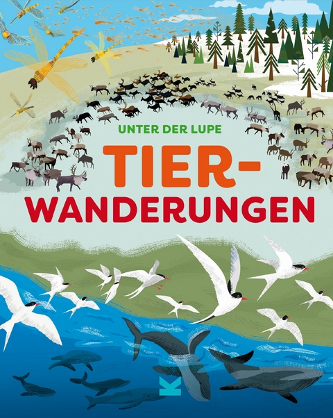 Unter der Lupe: Tierwanderungen - Jon Richards, Josy Bloggs, Frederik Kugler