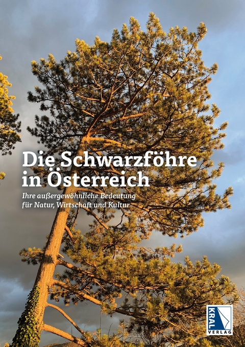 Die Schwarzföhre in Österreich - 