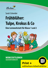 Frühblüher: Tulpe, Krokus & Co - Sarah Schneider