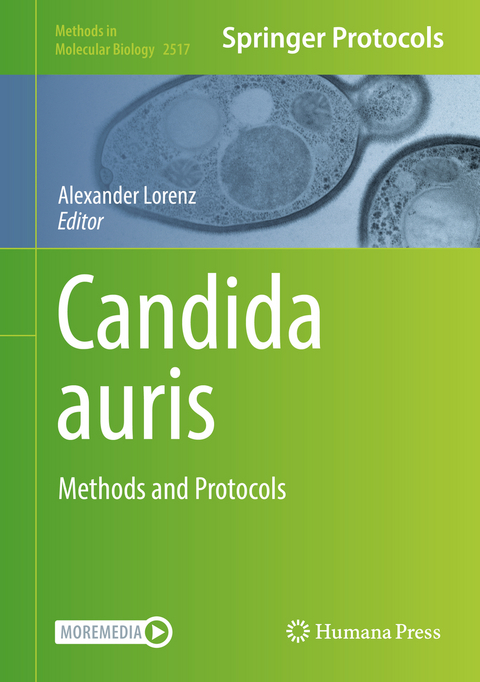 Candida auris - 