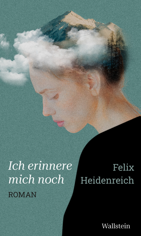 Ich erinnere mich noch - Felix Heidenreich