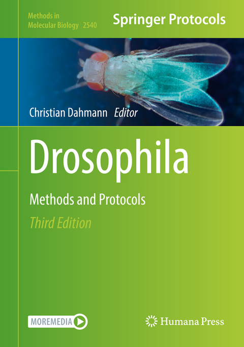 Drosophila - 