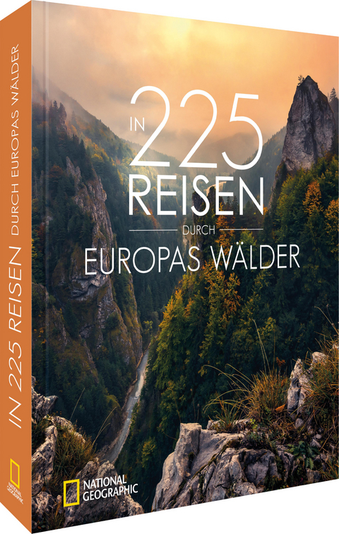 In 225 Reisen durch Europas Wälder - Jörg Berghoff, Silke Martin, Lisa Bahnmüller, Stefan Hefele, Julia Schattauer, Hartmut Krinitz, Martin Schmidt, Regine Heue