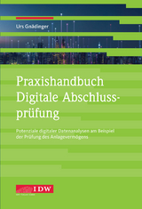 Praxishandbuch Digitale Abschlussprüfung - Gnädinger Urs