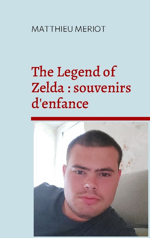 The Legend of Zelda - Matthieu Meriot