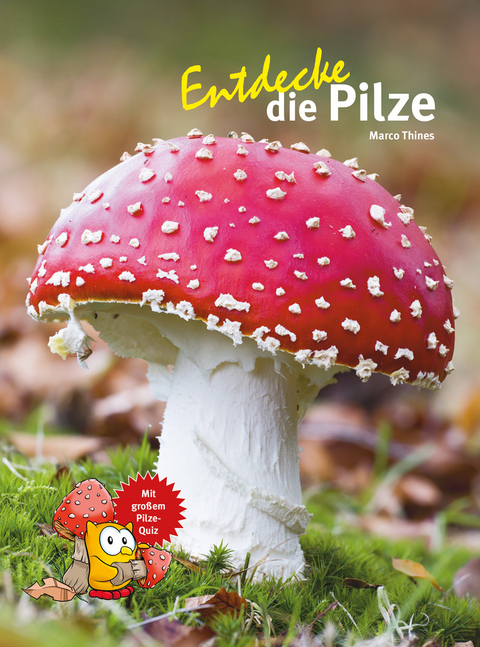 Entdecke die Pilze - Marco Thines