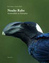 Noahs Rabe - Kai Gedeon