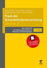 Praxis der Schwerbehindertenvertretung von A bis Z - Werner Feldes, Anna Gilsbach, Christiane Jansen, Rolf Klabunde, Petra Künsemüller, Diana Ramm, Hans-Günther Ritz, Jürgen Schmidt, Anne Weidner