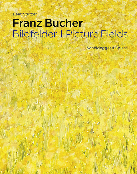 Franz Bucher. Bildfelder - Beat Stutzer