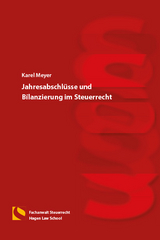 Jahresabschlüsse und Bilanzierung im Steuerrecht - Karel Meyer