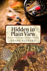 Hidden in Plain View - Duane Redford