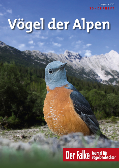 Vögel der Alpen - 