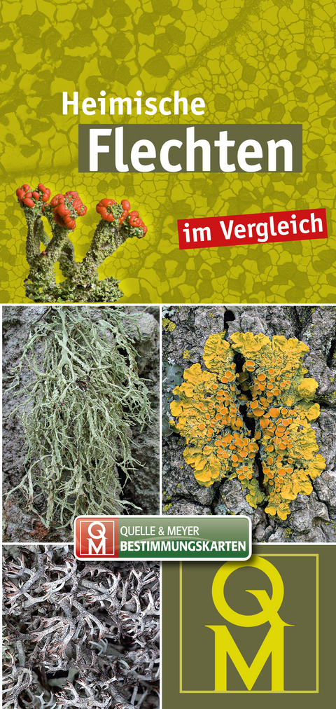 Heimische Flechten im Vergleich - 