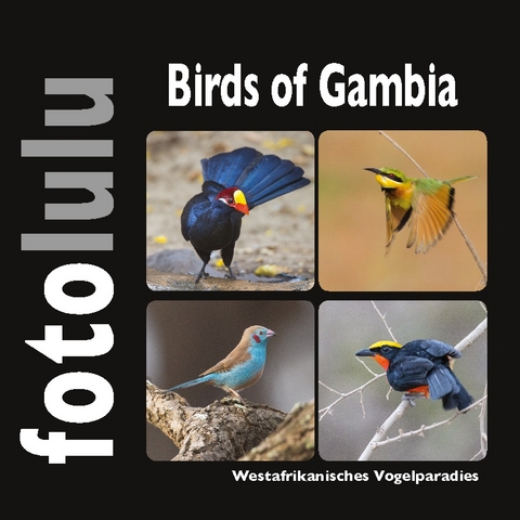 Birds of Gambia - Sr. fotolulu