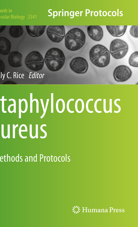 Staphylococcus aureus - 