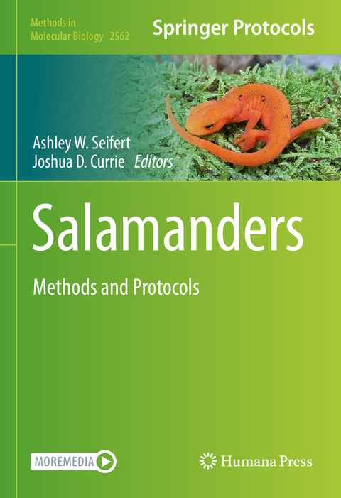 Salamanders - 