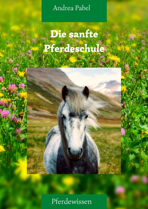 Die sanfte Reitschule - Andrea Pabel