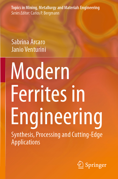 Modern Ferrites in Engineering - Sabrina Arcaro, Janio Venturini