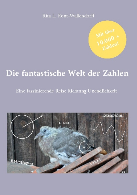 Die fantastische Welt der Zahlen - Rita L. Ront-Wallendorff