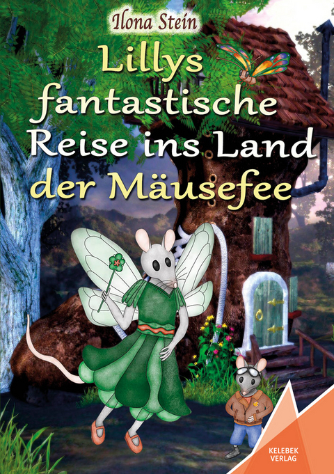 Lillys fantastische Reise ins Land der Mäusefee - Ilona Stein