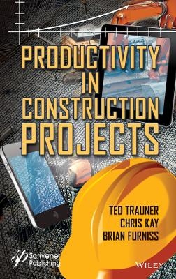 Productivity in Construction Projects - 