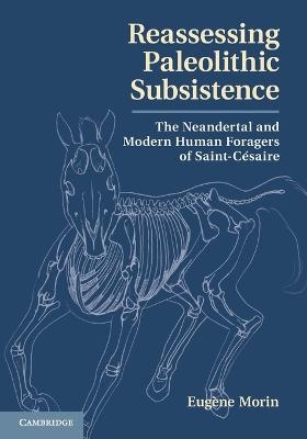 Reassessing Paleolithic Subsistence - Eugène Morin