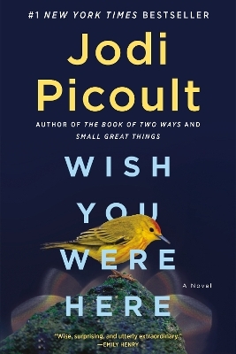 Wish You Were Here - Jodi Picoult