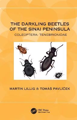 The Darkling Beetles of the Sinai Peninsula - Martin Lillig