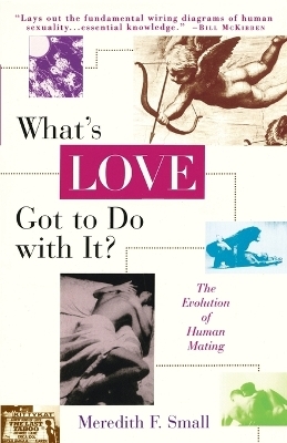 What's Love Got to Do with It? - Meredith Small