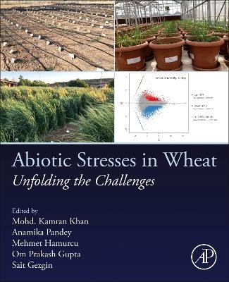 Abiotic Stresses in Wheat - 