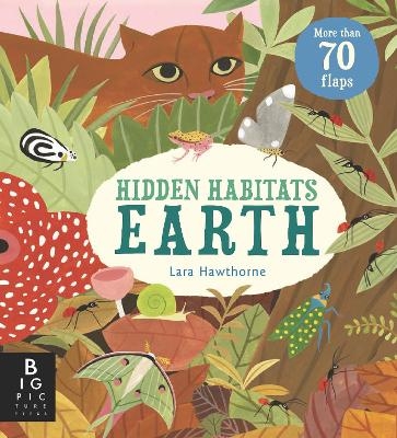 Hidden Habitats: Earth - Camilla de la Bedoyere