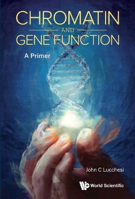 Chromatin And Gene Function: A Primer - John C Lucchesi