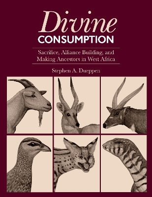 Divine Consumption - Stephen A. Dueppen