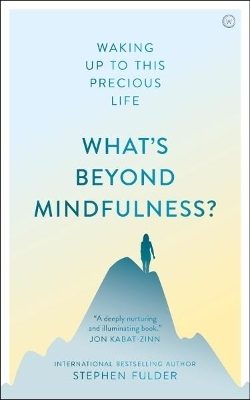 What's Beyond Mindfulness? - Stephen Fulder