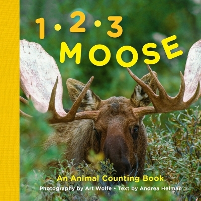 1, 2, 3 Moose - Andrea Helman