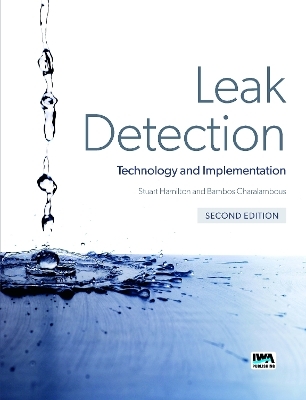 Leak Detection - 