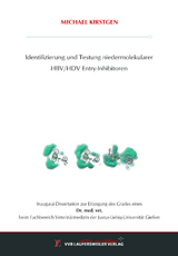 Identifizierung und Testung niedermolekularer HBV/HDV Entry-Inhibitoren - Michael Kirstgen