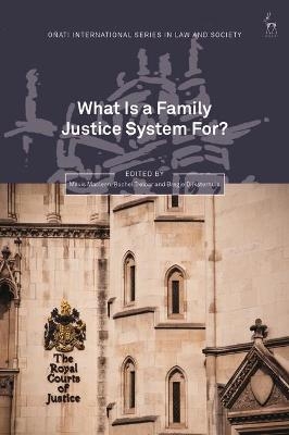 What Is a Family Justice System For? - 