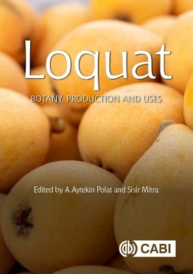 Loquat - 