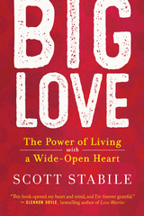 Big Love - Scott Stabile