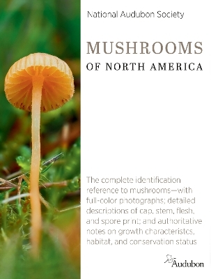 National Audubon Society Mushrooms of North America - National Audubon Society National Audubon Society