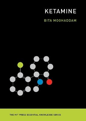 Ketamine - Bita Moghaddam