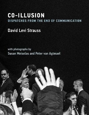 Co-Illusion - David Levi Strauss