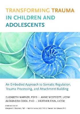 Transforming Trauma in Children and Adolescents - Elizabeth Warner, Heather Finn