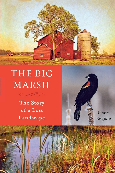 Big Marsh -  Cheri Register