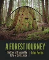 The Forest Journey - Perlin, John