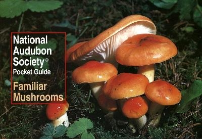 National Audubon Society Pocket Guide: Familiar Mushrooms -  National Audubon Society