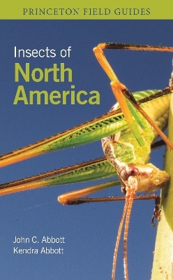 Insects of North America - Dr. John C. Abbott, Kendra Abbott